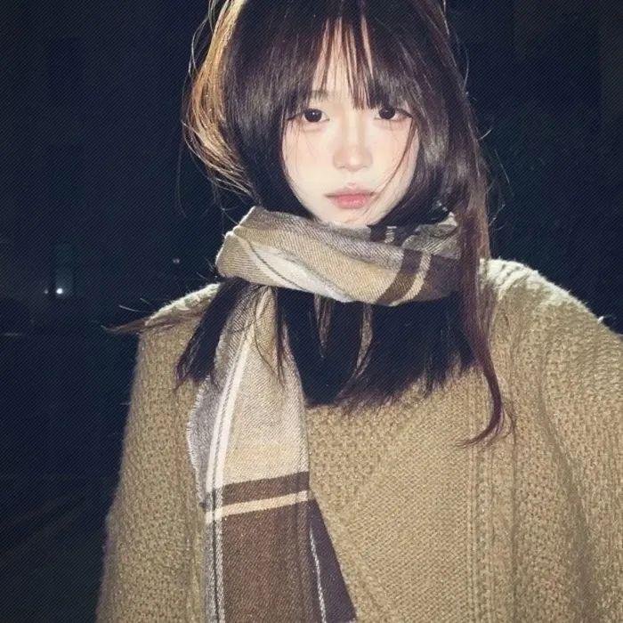 雨树之国