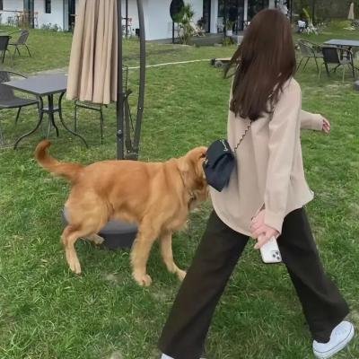 水退之后2:伤痕